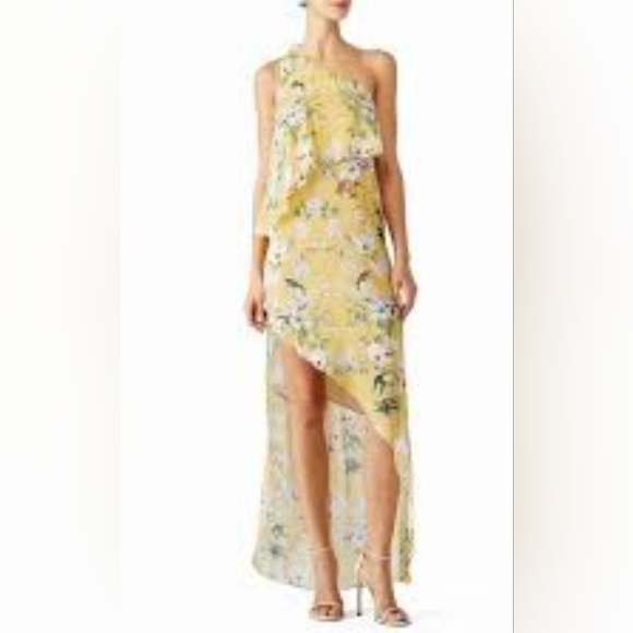 🎀CLEARANCE🎀 Slate & Willow chiffon layered maxi dress.  DESIGNER. MSRP $250 - Picture 2 of 7